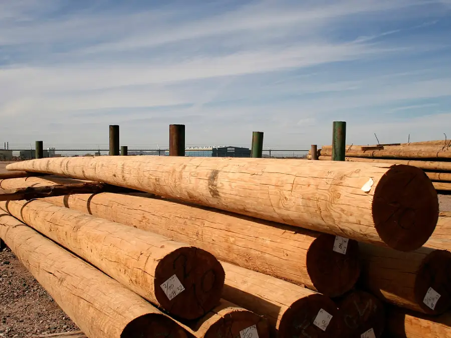 Premium Pine Lumber 2×4×8 ft